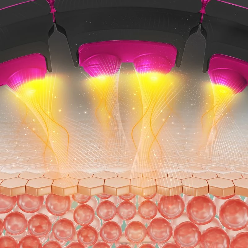 Hula hop me magnet e peshe HMS HHM16, rozë/zezë