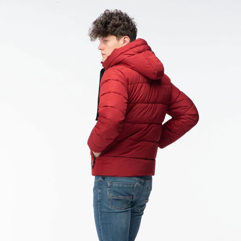 Pallto dimri për meshkuj Iguana