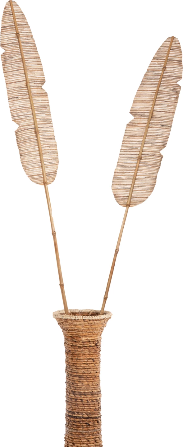 Gjethe dekorative FH7874, ngjyrë natyrale, 15x200x3 cm