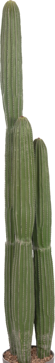 Bimë dekorative sintetike në vazo, lloj kaktusi, FH4745, 17.5x144cm