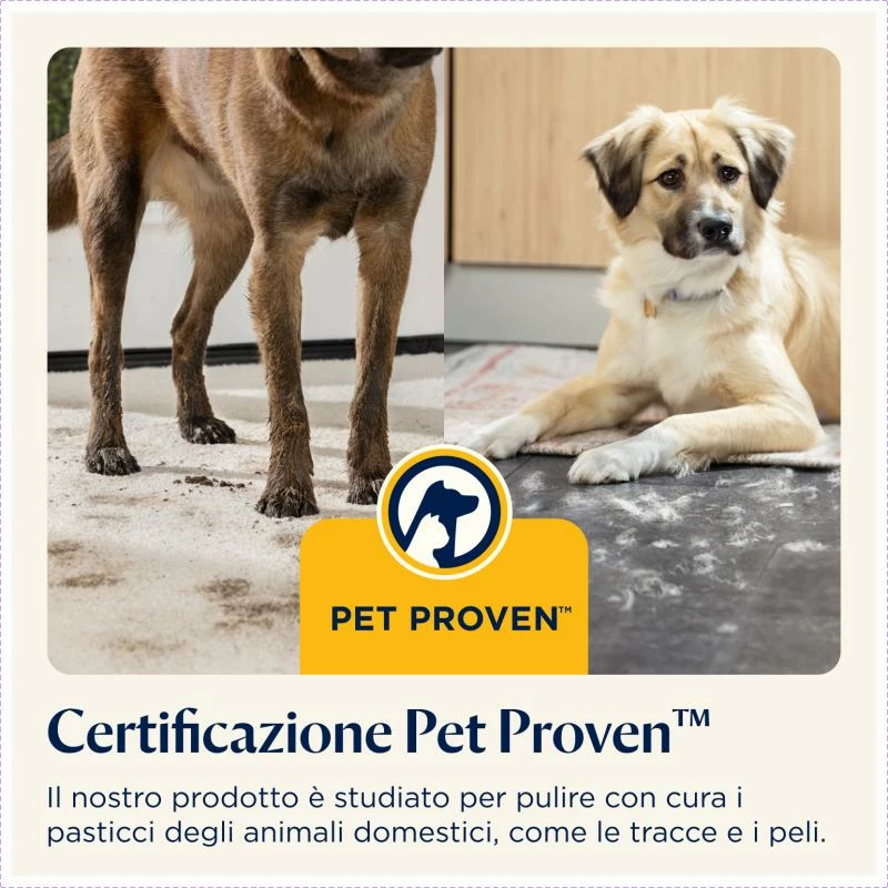 Fshesë me korrent dhe larëse dyshemesh, Bissell CrossWave OmniForce Edge Pro 4000N, 5 kg, set me aksesorë, e zezë