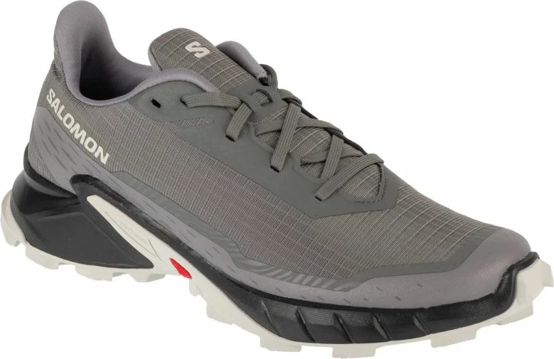 Atlete për meshkuj Salomon, të hirtë