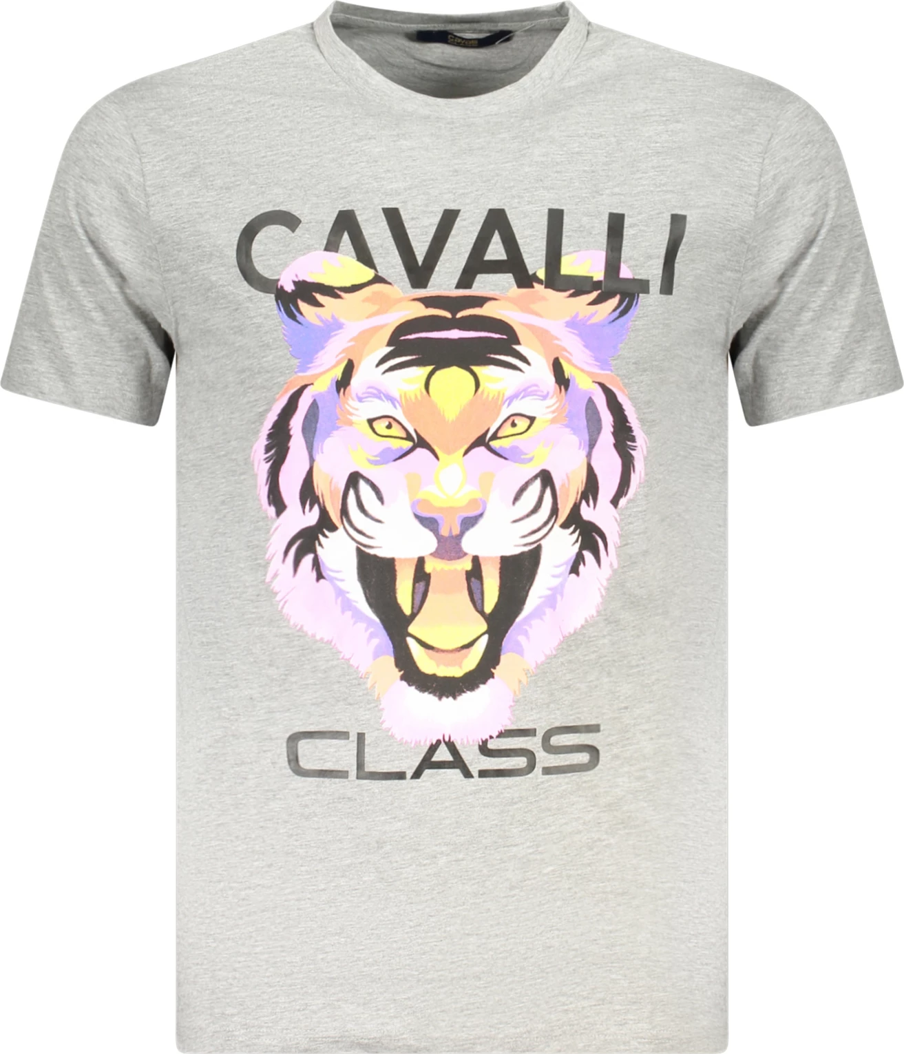 Maicë për meshkuj CAVALLI CLASS, gri