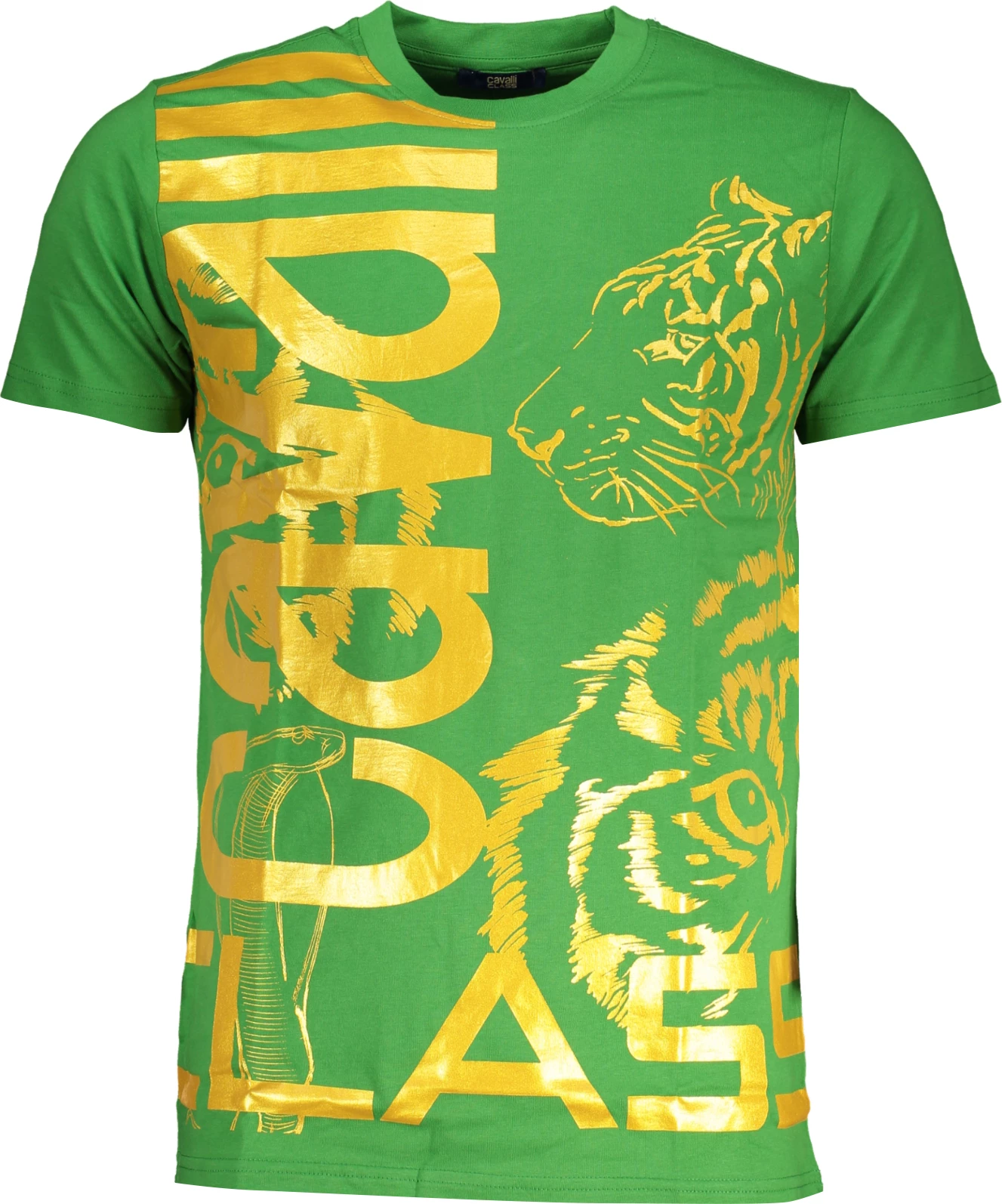 Maicë për meshkuj CAVALLI CLASS, e gjelbër