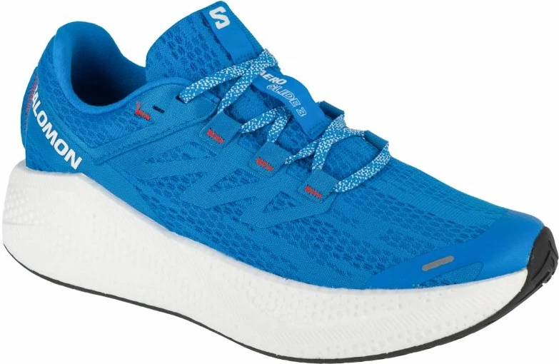 Atlete për meshkuj Salomon, blu