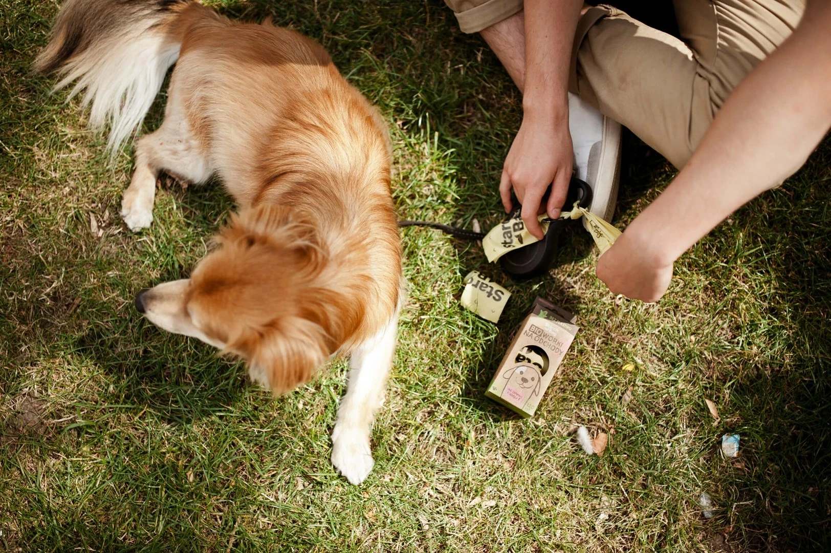 Qese kompostuese Starch Bag, 8x15 copë, Lila