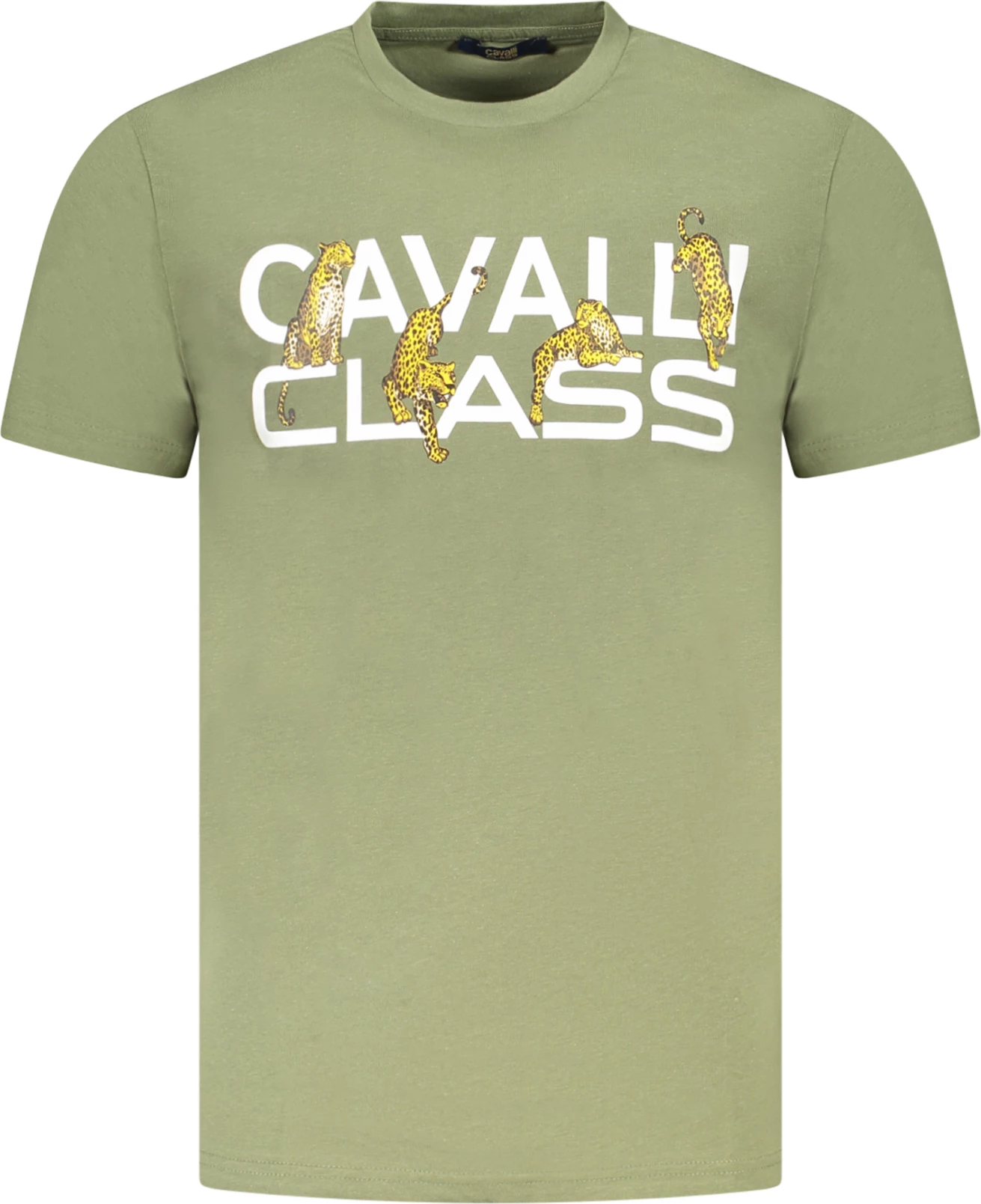 Maicë për meshkuj CAVALLI CLASS, e gjelbër