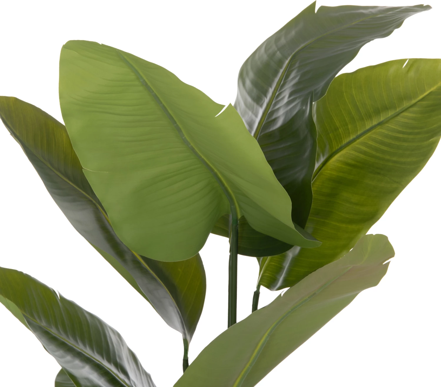 Bimë sintetike dekorative në vazo, Strelitzia, FH4739, Φ18x172cm