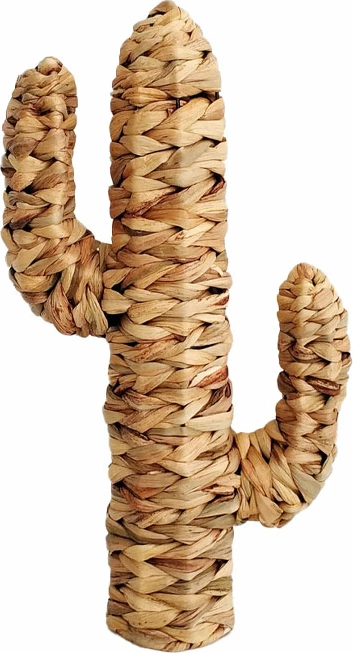 Dekor kaktusi Kea, 25x9x45cm, kashtë deti, natyrale