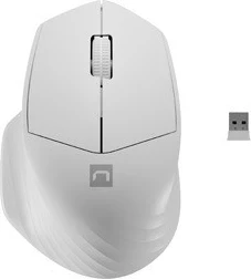 Maus Natec, Siskin 2, hiri