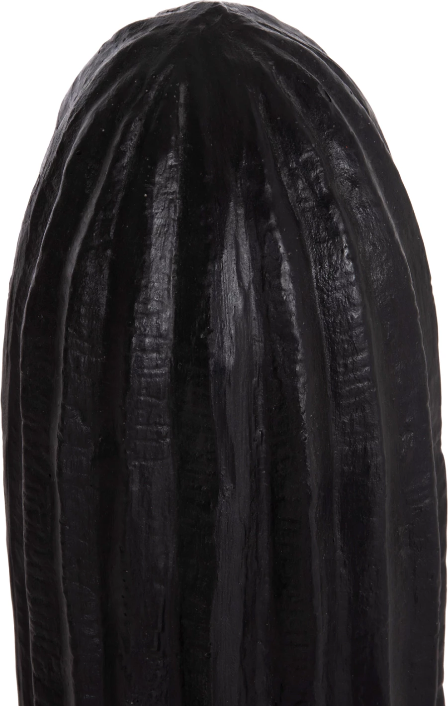 Dekor kaktusi për dysheme, ngjyrë e zezë, FH4386.01L, 63x37x150cm