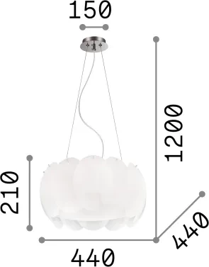 Llambë e varura  Ovalino sp5