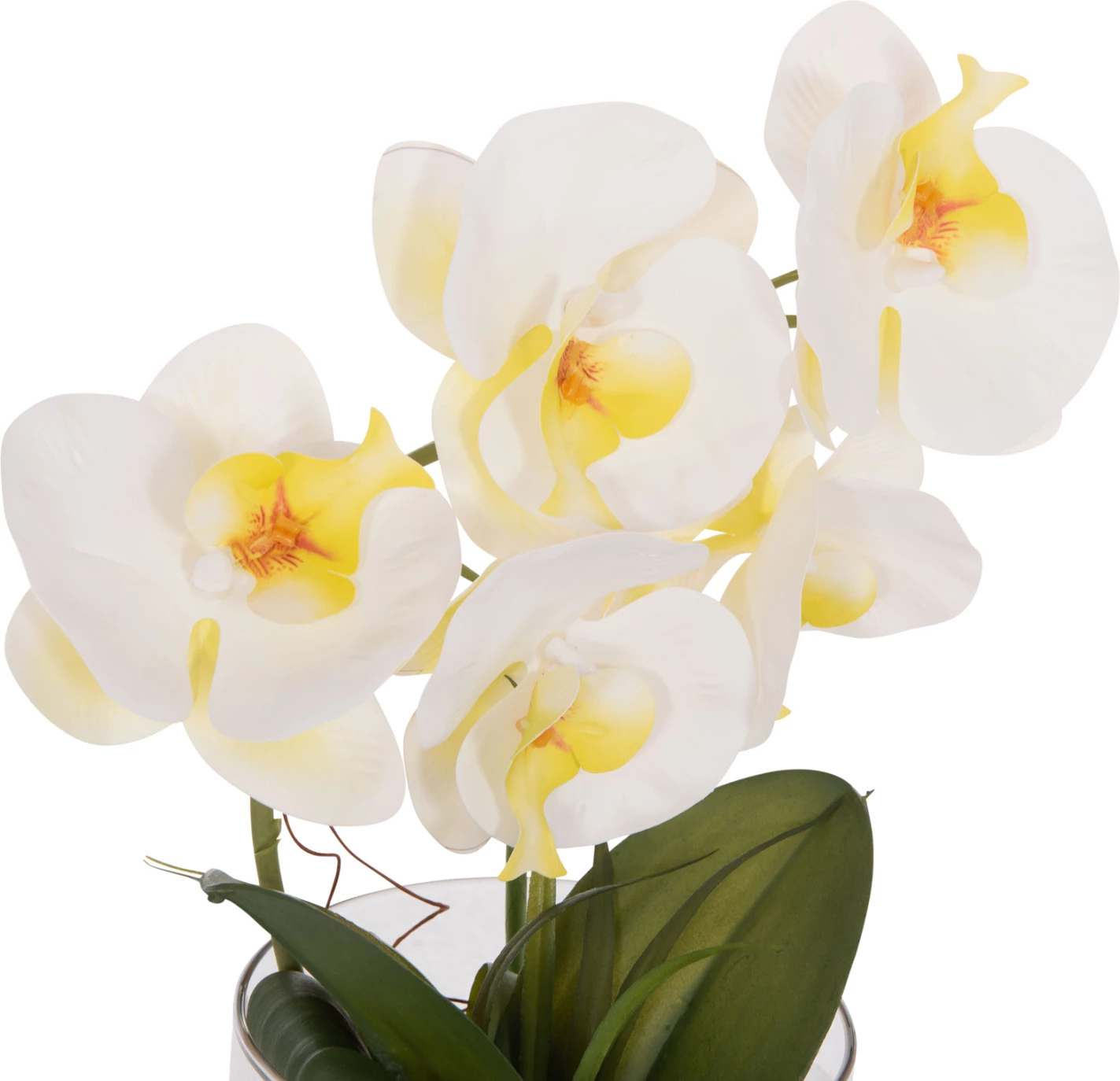 Lule dekorative sintetike Phalaenopsis në vazo qelqi, 12x24x30cm