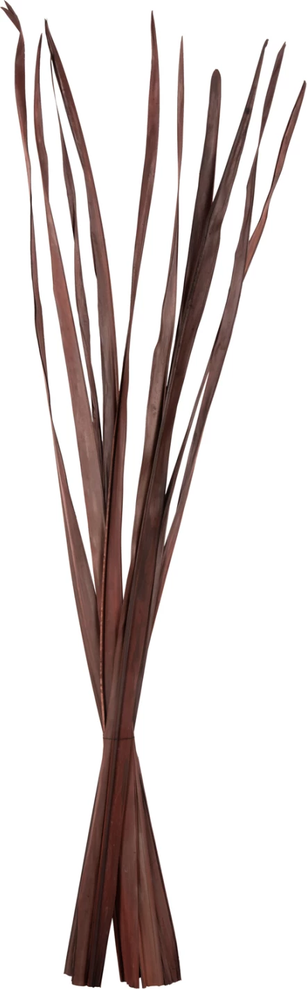 Buqetë dekorative me gjethe të thata shpate FH7965 10PCS kafe 120Hcm