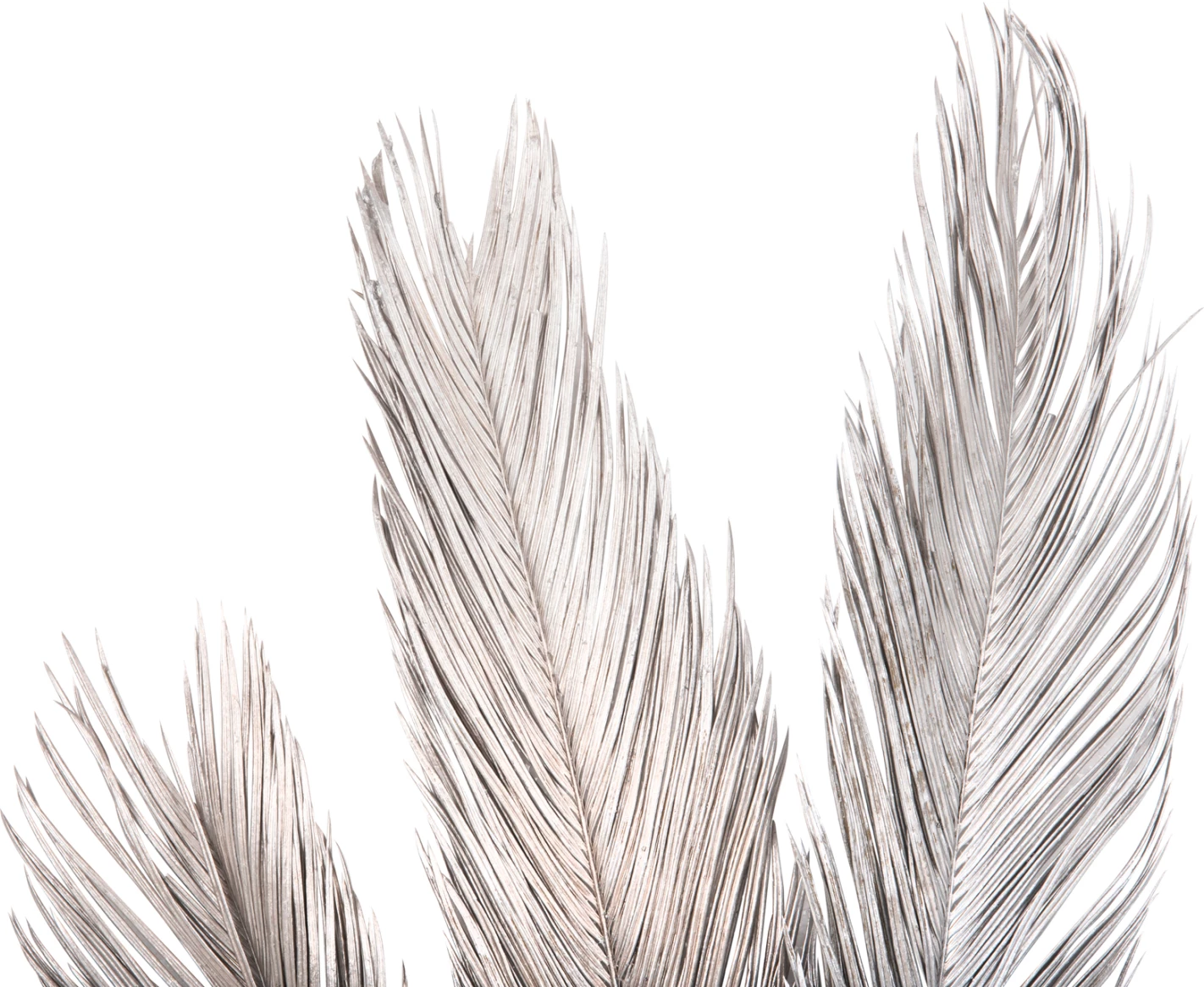 Set dekorativ me 3 gjethe palme të thata, ngjyrë argjendi, FH7957, 110H cm