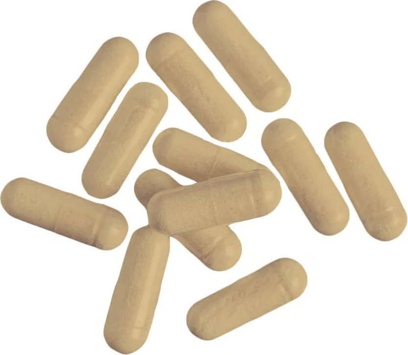 Thermobooster Compressed 60 kapsula