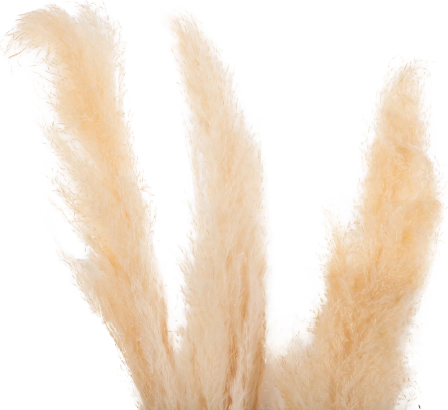 Dekor kallam i tharë, 3 copë, FH7961, 140H cm, ngjyrë e bardhë