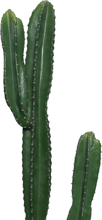 Bimë dekorative kaktus në vazo, Inart, jeshile, pp, H155cm