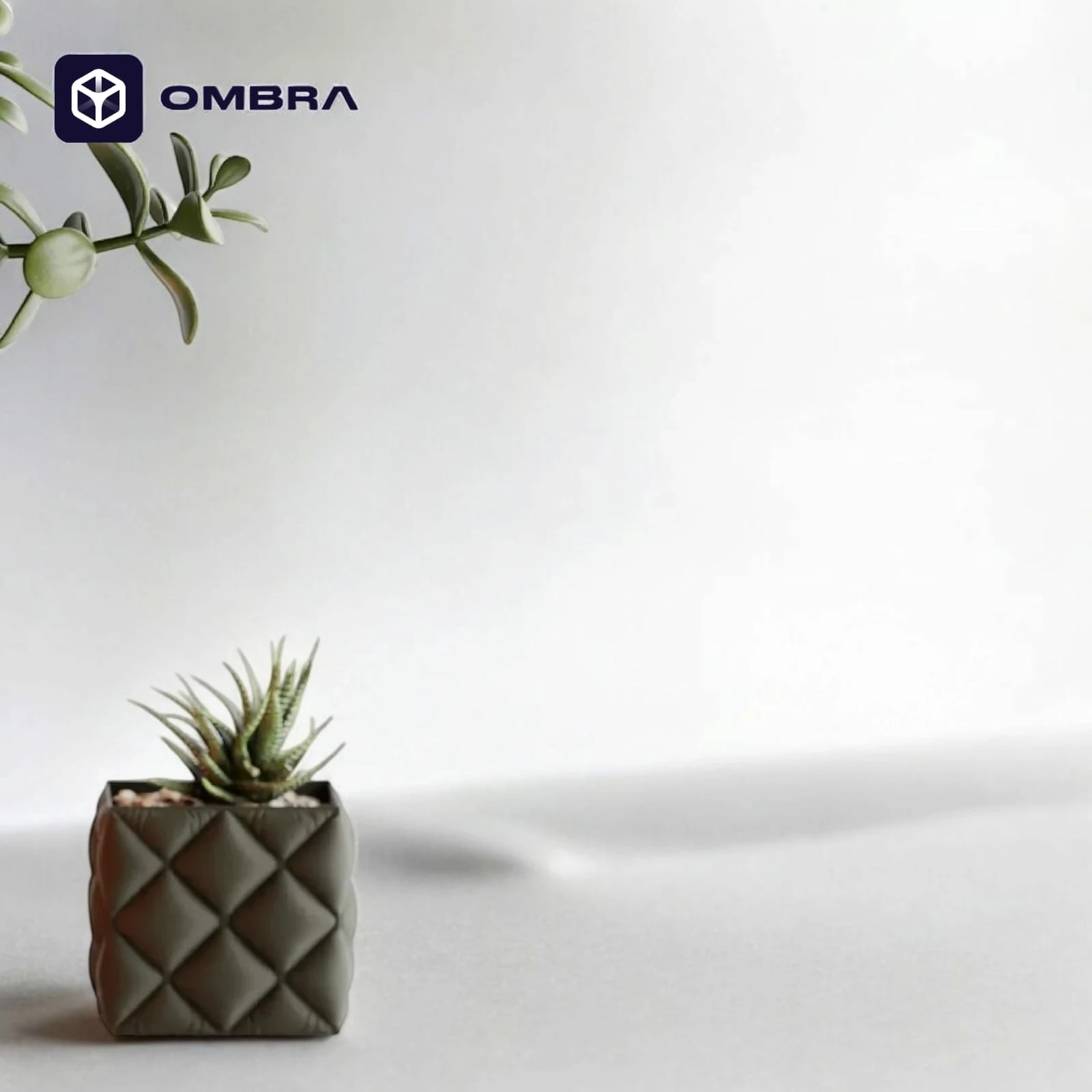 Vazo dekorative Pambuku, madhësia S, e gjelbërt