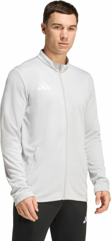 Duks adidas për meshkuj, gri