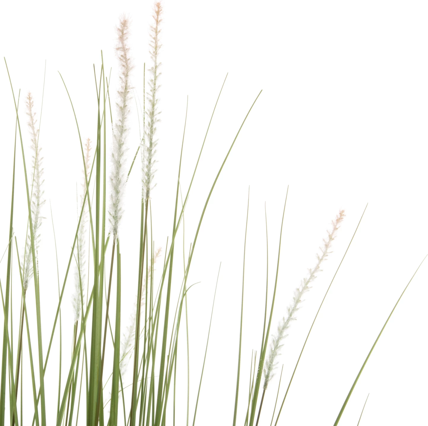 Bimë sintetike dekorative në vazo, FH4017, Bristlegrass, 173H cm