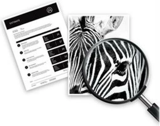 Patron boje HP 920XL CD974AE, rendiment i lartë, e verdhë