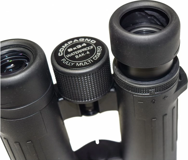 Dylbi Braun Compagno 8x34 WP e zezë