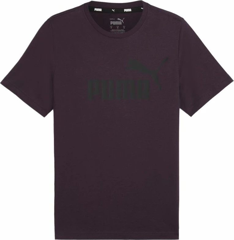 Maicë Puma meshkuj, vjollcë