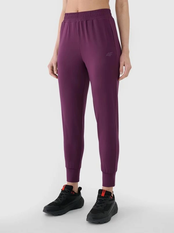 Pantallona sportive për femra 4F, gri