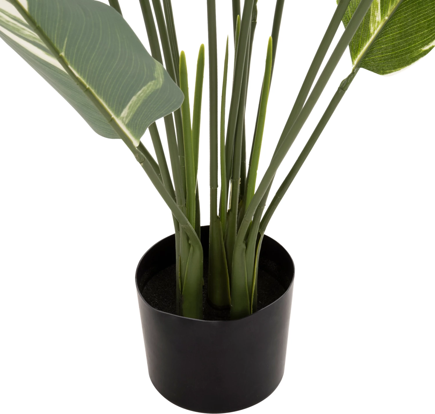 Bimë sintetike dekorative në vazo, FH7997, Calathea, 140Hcm