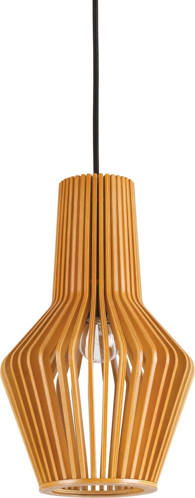 Llambë e varura Citrus-1 sp1