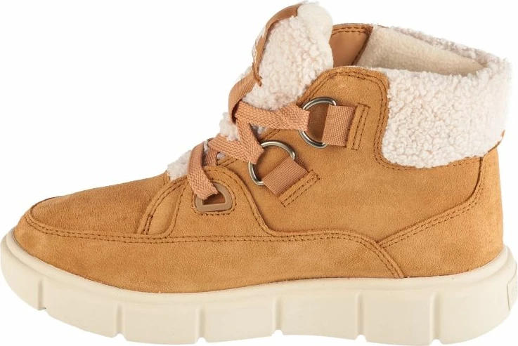 Çizme femra Sorel, kafe