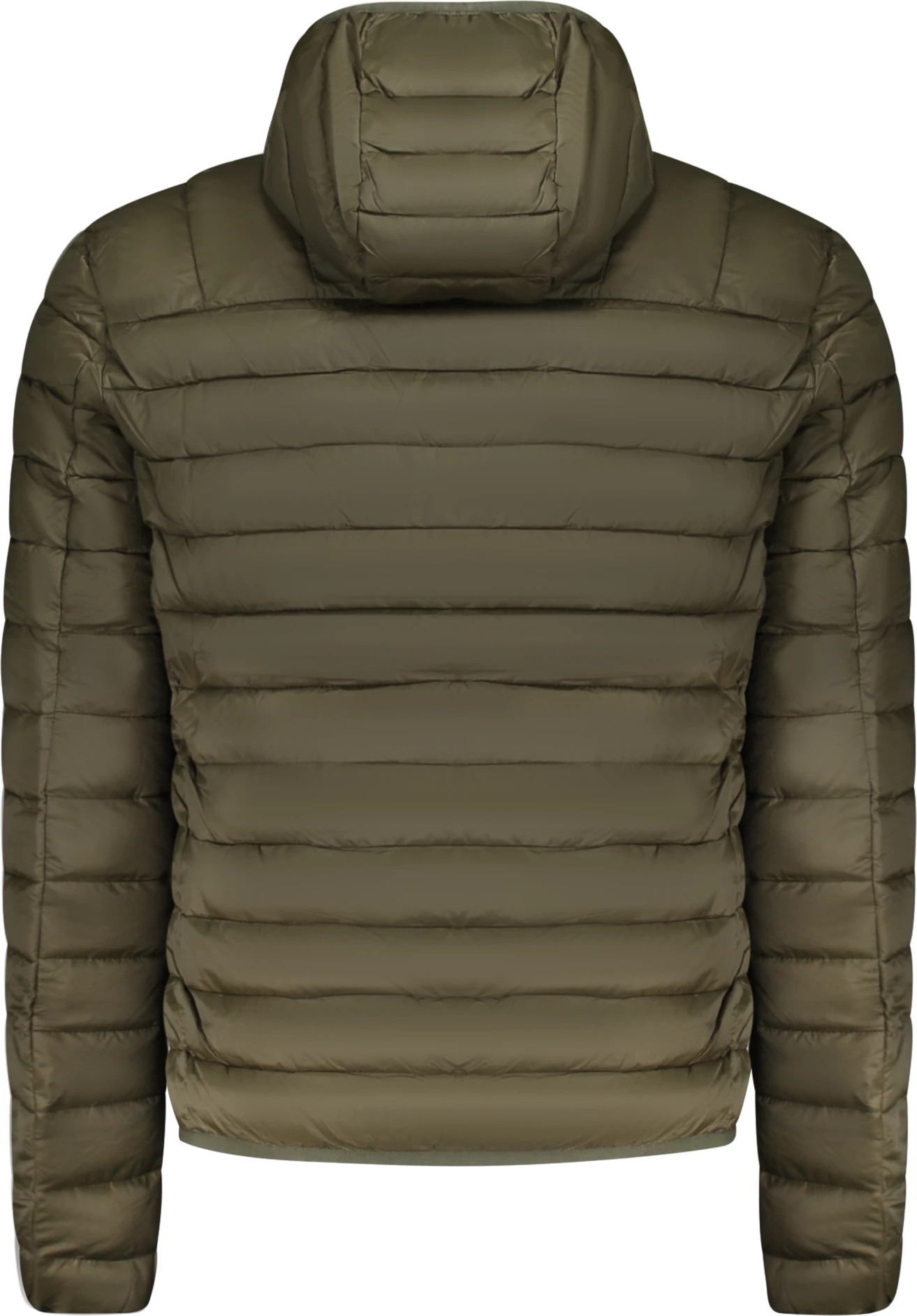 Jakne për meshkuj CAVALLI CLASS, e gjelbër