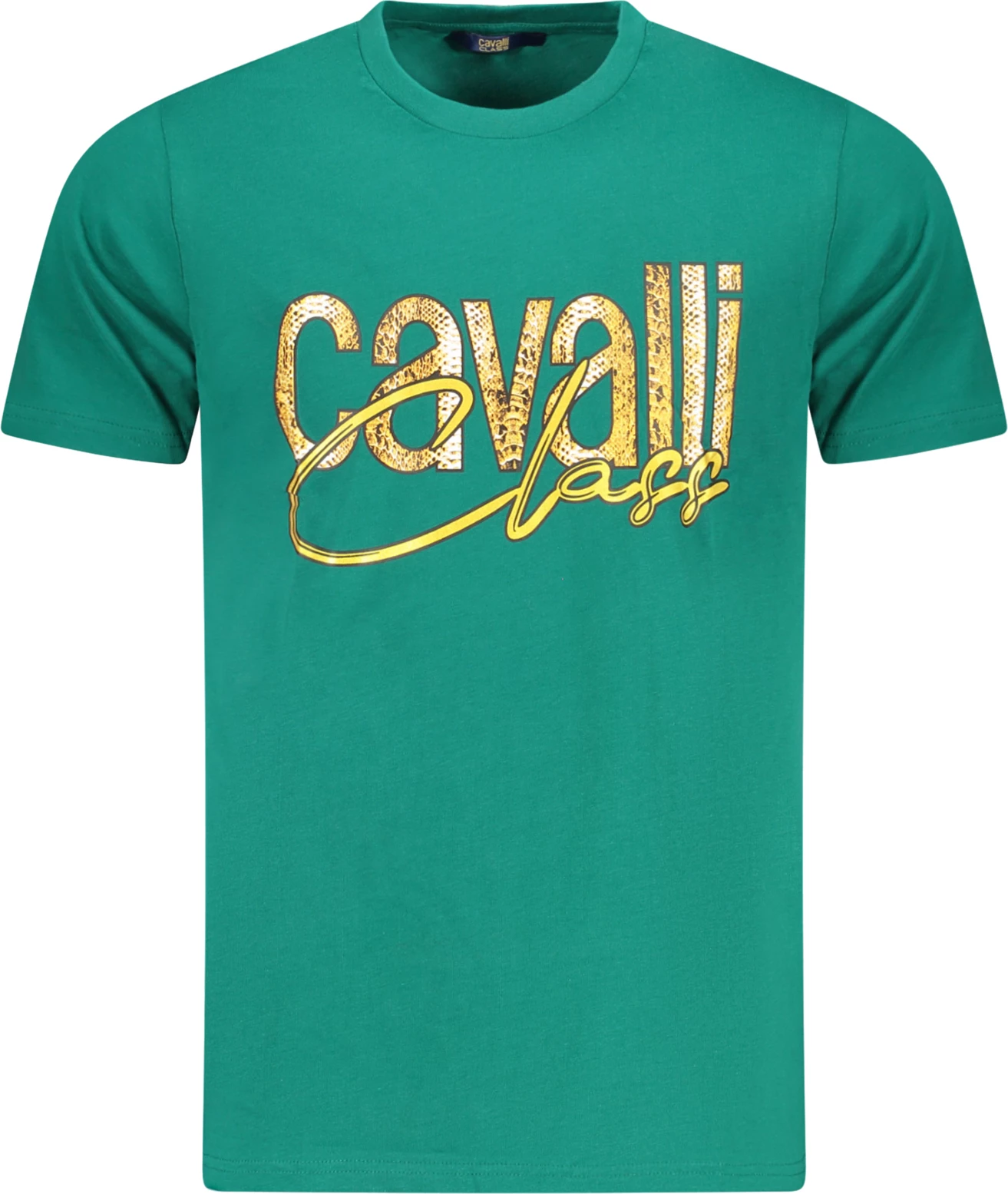 Maicë për meshkuj CAVALLI CLASS, e gjelbër