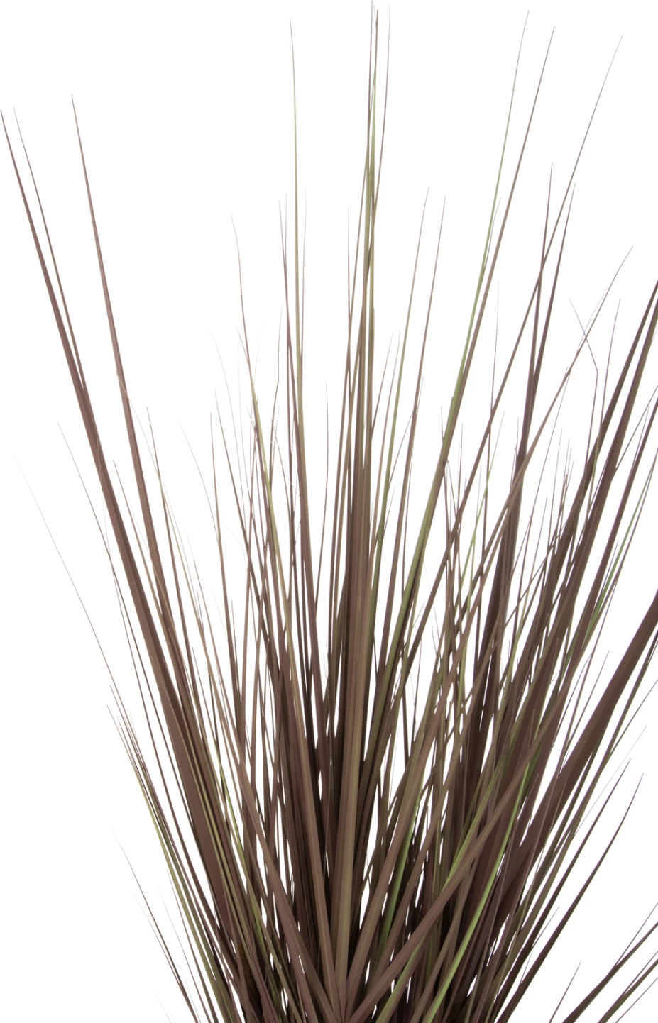 Bimë sintetike dekorative në vazo, FH4011, bar, 120Hcm