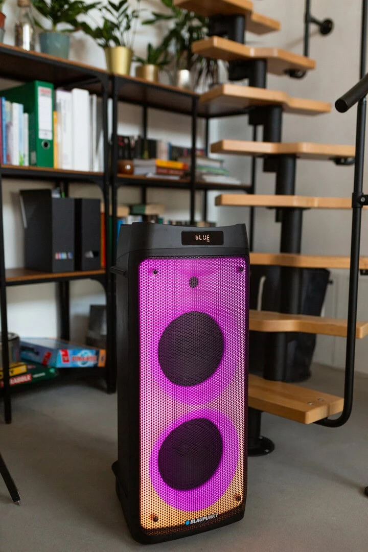 Altoparlant BLAUPUNKT PB08DB