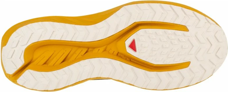 Atlete për meshkuj Salomon, kafe