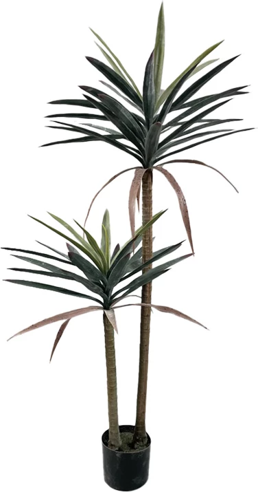 Bimë dekorative Dracaena palmë në vazo, ngjyrë e gjelbër, 125cm, 2 copë