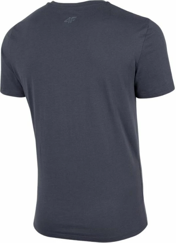 Maicë për Meshkuj 4F, Gri