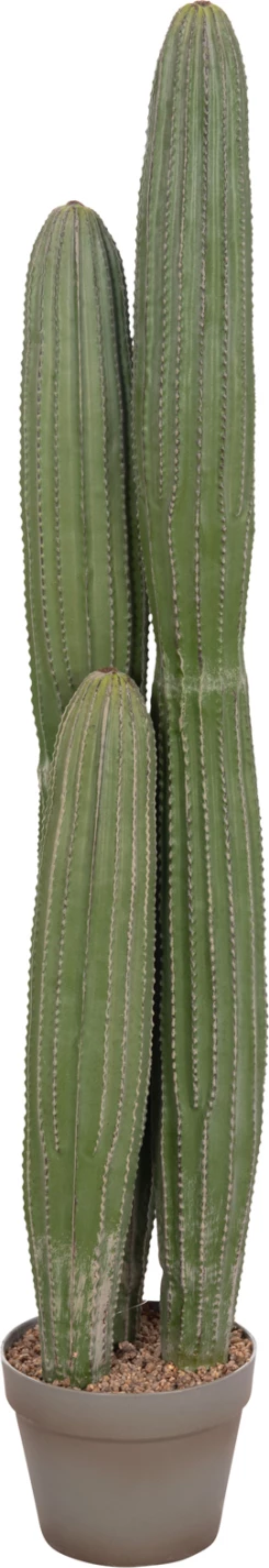 Bimë dekorative sintetike në vazo, lloj kaktusi, FH4744, 17.5x105cm