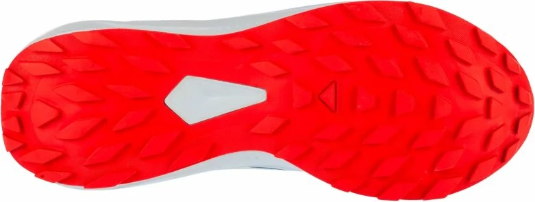 Atlete për meshkuj Salomon, shumengjyrëshe