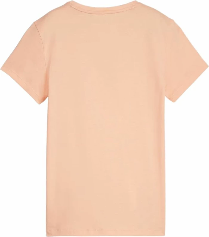 Maicë Puma femra, portokalli