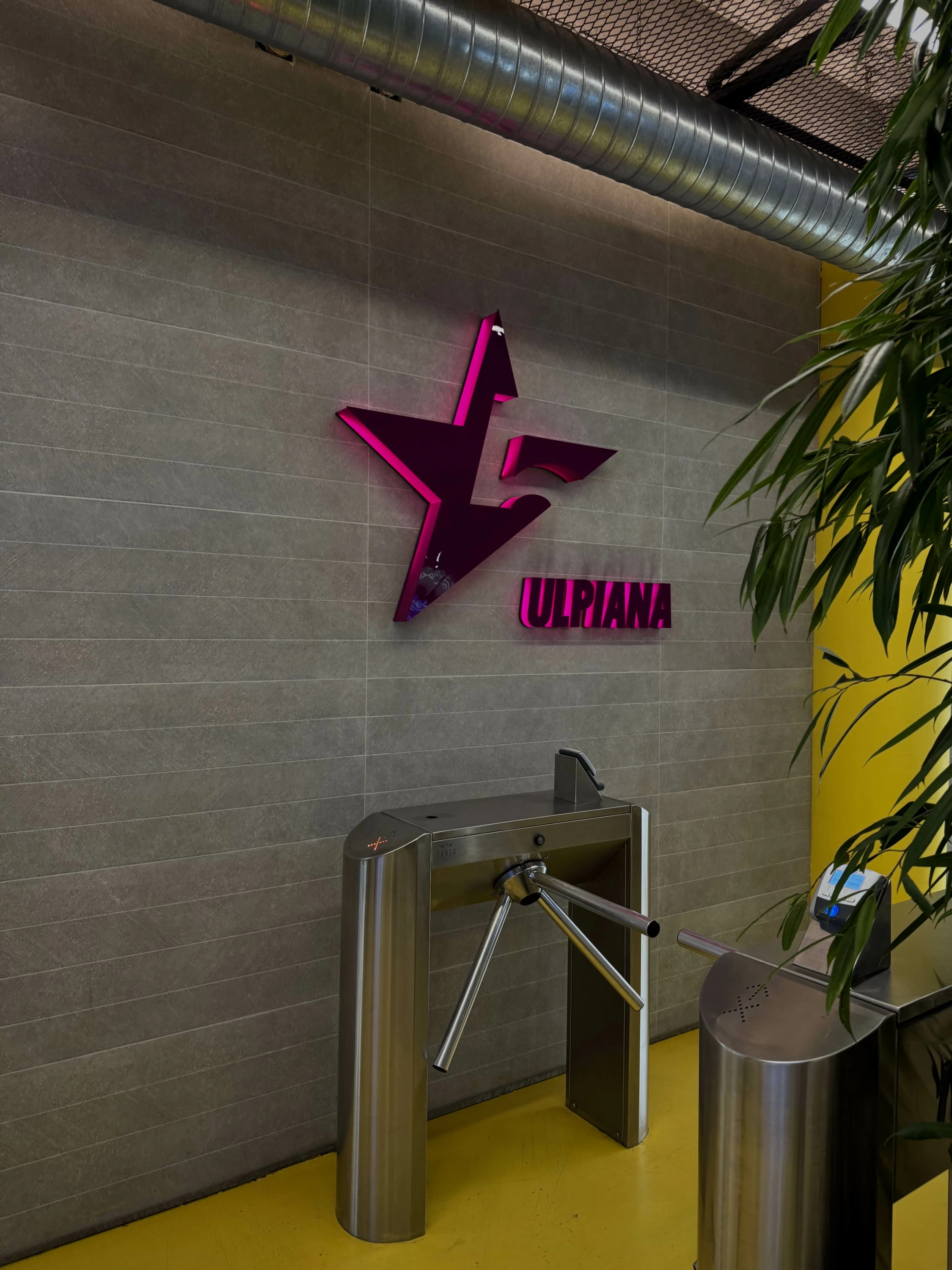 Pako fitnesi për femra Fitstar UniClub, 1 vjeçare