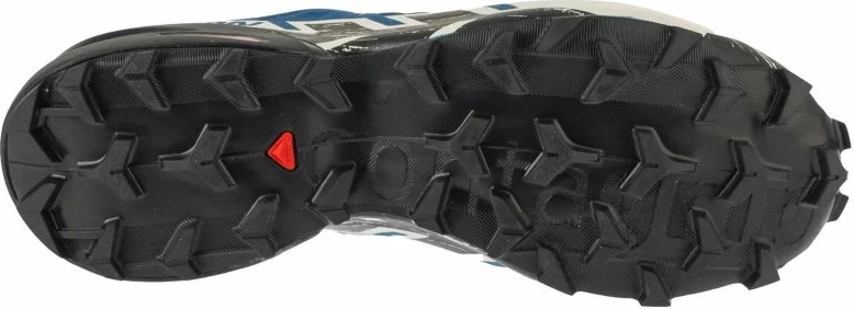 Atlete për meshkuj Salomon, blu