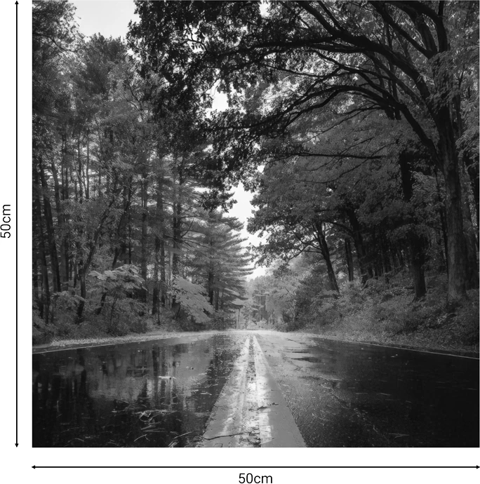 Pikturë kanavacë me printim digjital, 50x1.8x50 cm