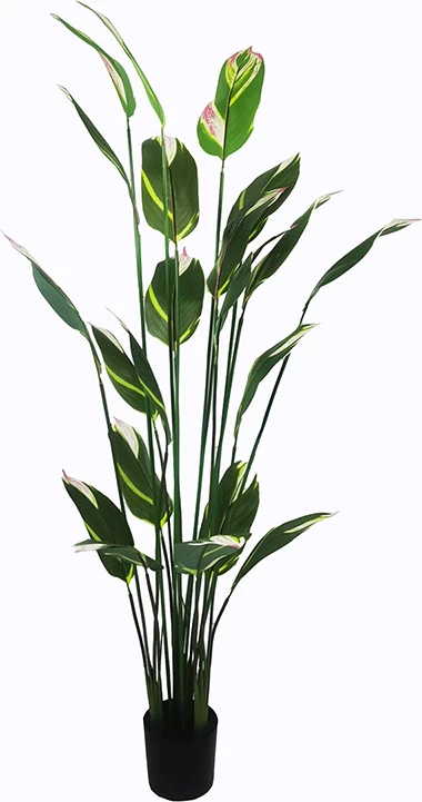 Bimë dekorative në vazo Lucky I Inart, e gjelbër, 80x210cm