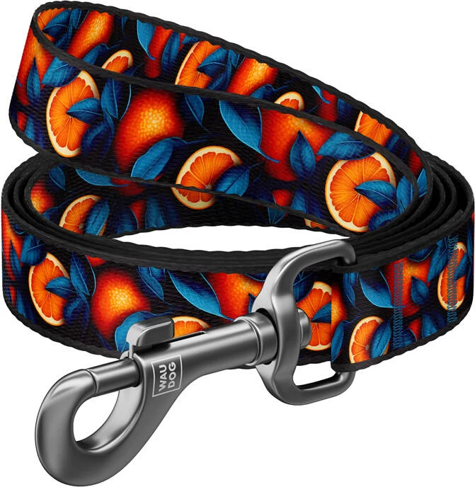 Litar qeni Waudog 341-4054, najlon, dizajn portokalli, 122 cm