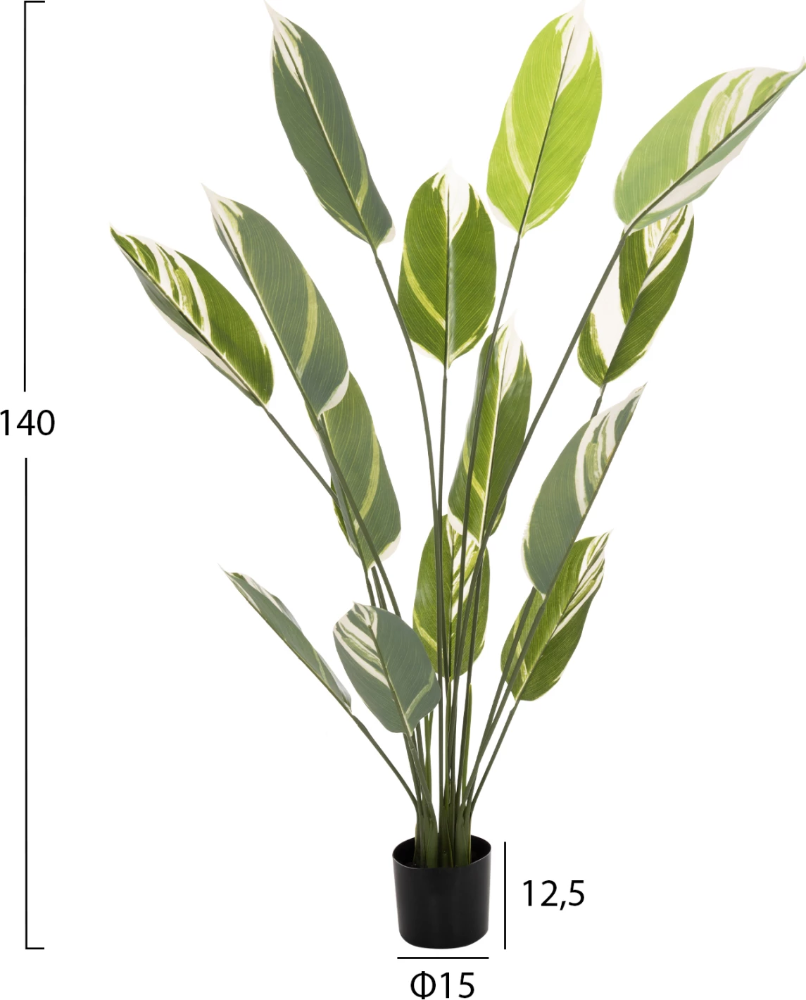 Bimë sintetike dekorative në vazo, FH7997, Calathea, 140Hcm