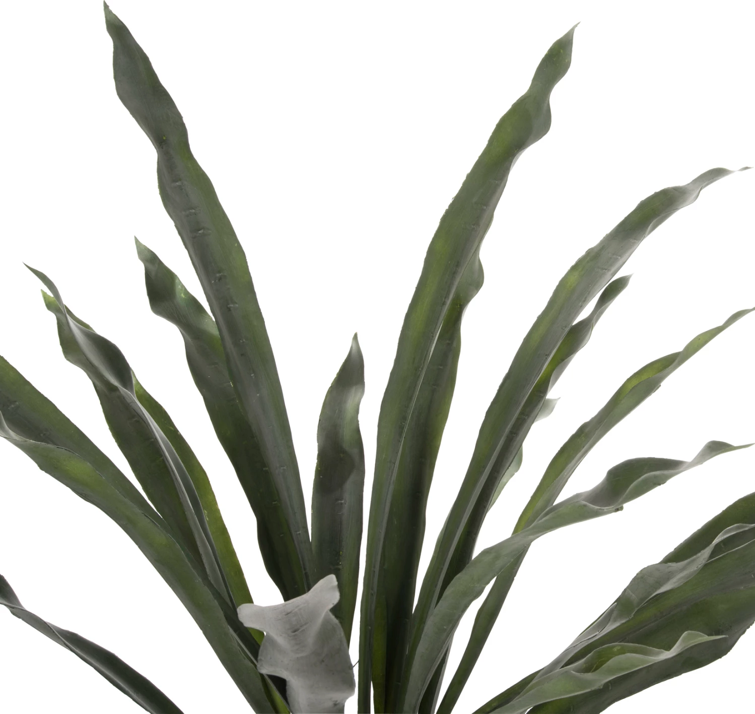 Bimë sintetike dekorative, FH7975, Asplenium Prolongatum (ferne), në vazo, 137H cm