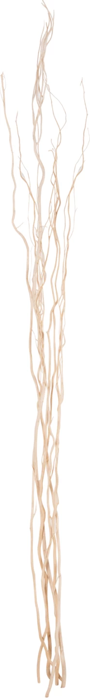 Buqetë dekorative 5 copë degë shelgu të thata FH7966 krem 170Hcm